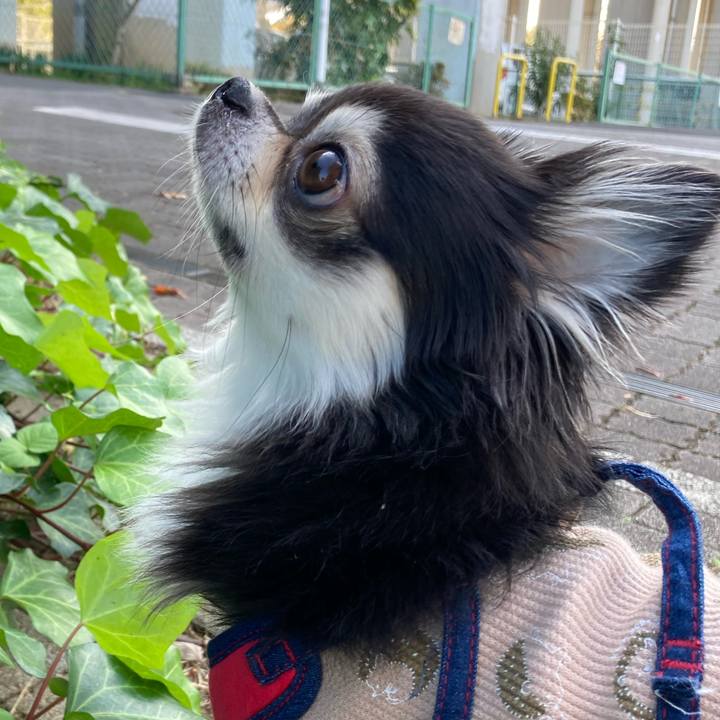 Ee9065c8 6b42 4a25 b5d1 6ec69f6ac7c3 1699497130221