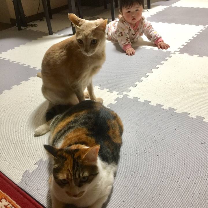 Ee907687 d2f7 4ce5 800d 051c13480187 1679218202151