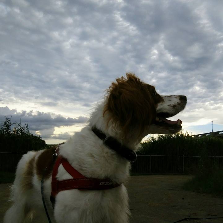 Ee908020 29df 46b1 aeff 7844a647830e 1534159895208