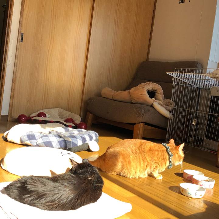 Ee9087e7 59ac 42ea 8974 7dee273f978a 1556425396672