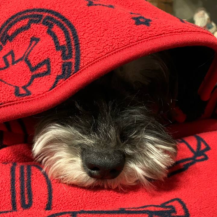 Ee908b8b 61b4 4cbb 876b c2a7d829918d 1709389333992