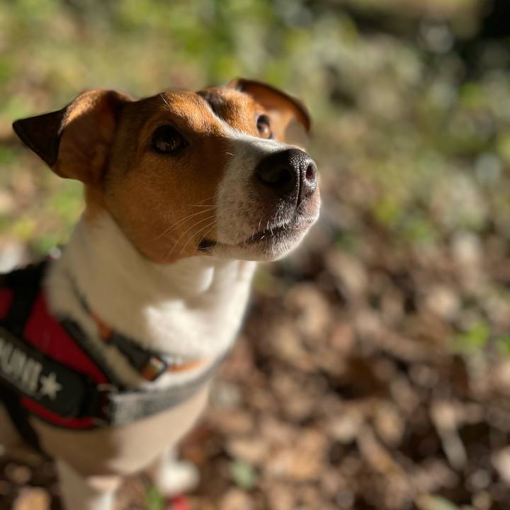 Ee908d19 1d5b 4c79 a0dc 342603849582 1700480371041