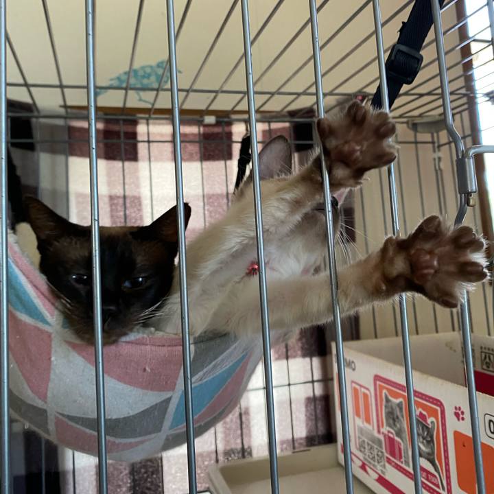 Ee908d33 ad0a 4bc1 b575 ee87d56448b2 1749011967838