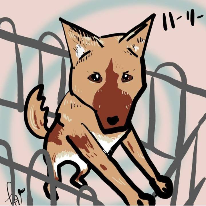 Ee908d7a 5ead 4388 8065 f6f5c222e2ba 1630752512672