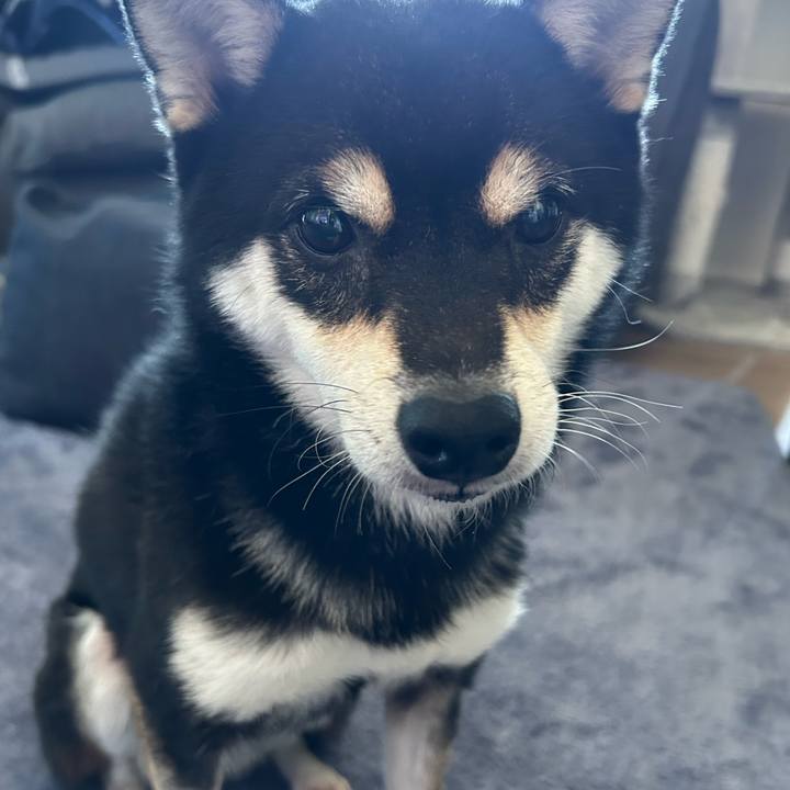 Ee91519c 9885 4aee 90d1 4f19b197c91d 1734826004417