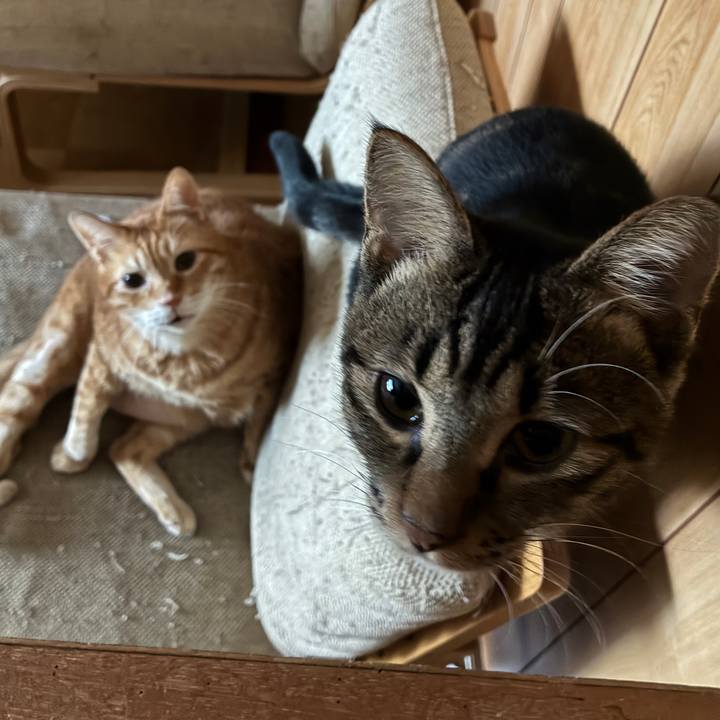 Ee91c856 3658 49c1 aa35 c628794a8584 1758231412489