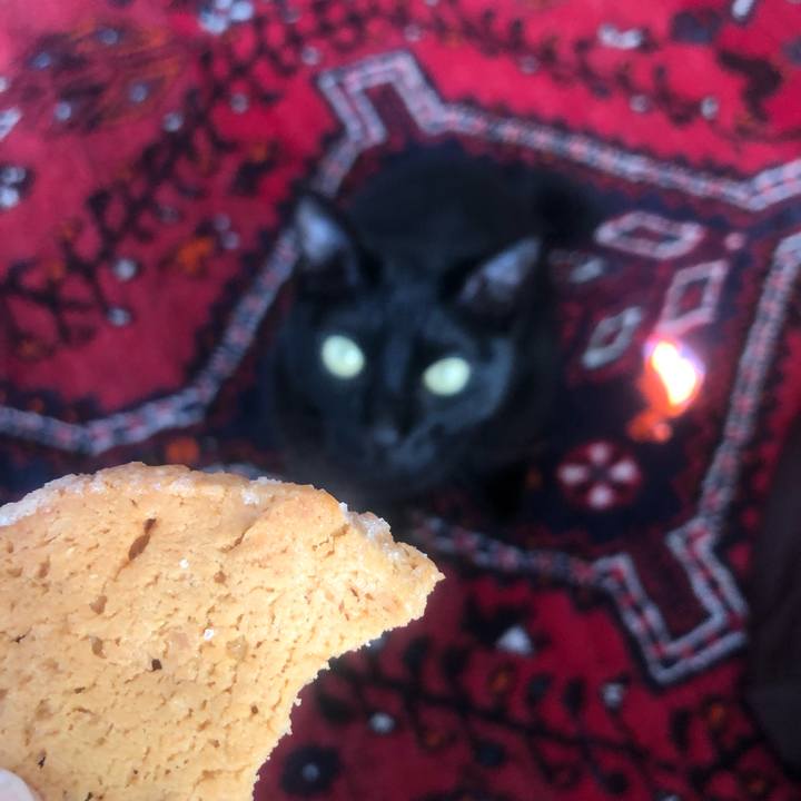 Ee91db33 a7c4 40fb a86c 893a9e0a7860 1649721468522