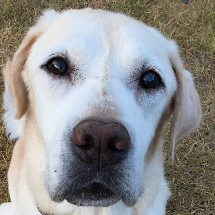 Ee925a17 aee7 461e ad4e e1ad903591d2 1533987522695