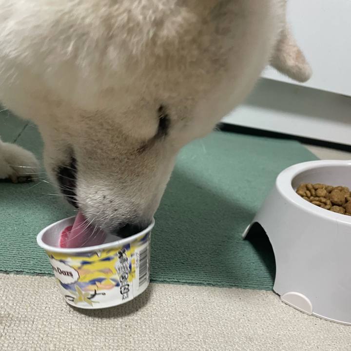 Ee92a1ac bb5e 4671 b00c 4f6978e17cec 1725023455170