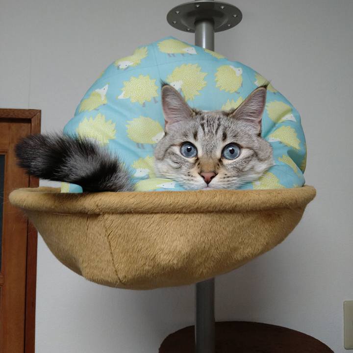 Ee92a473 5be3 4c86 a57a 95731563624c 1706356354087