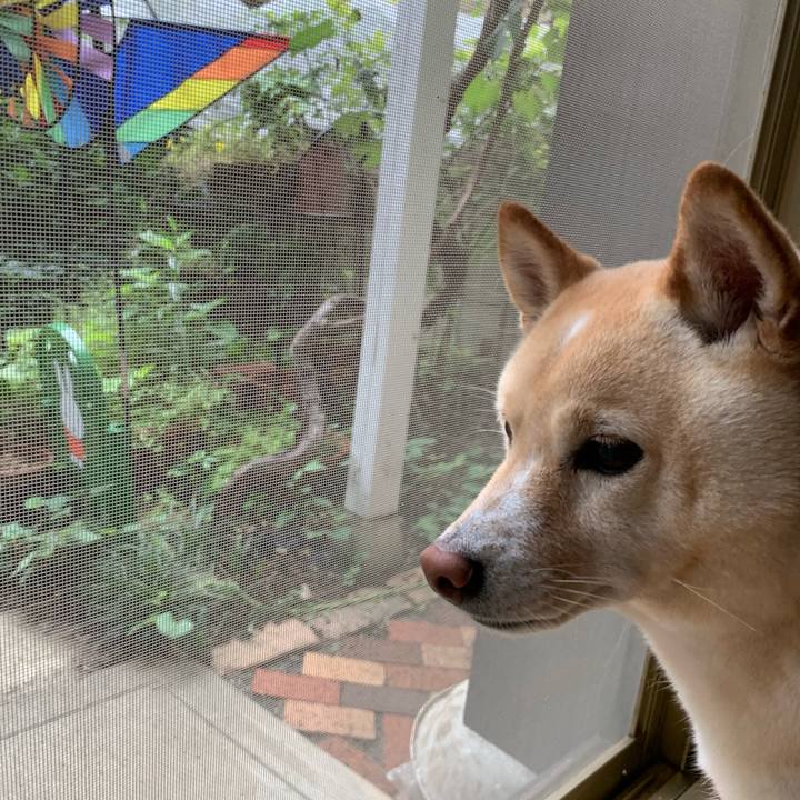 Ee92aec5 d12d 417c a6dd 4d87987d5a81 1626221536581