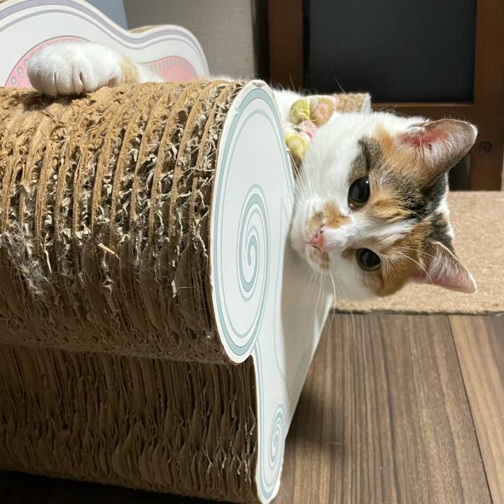 Ee92c38e 2559 4165 970c 92a7160e211e 1639524792868