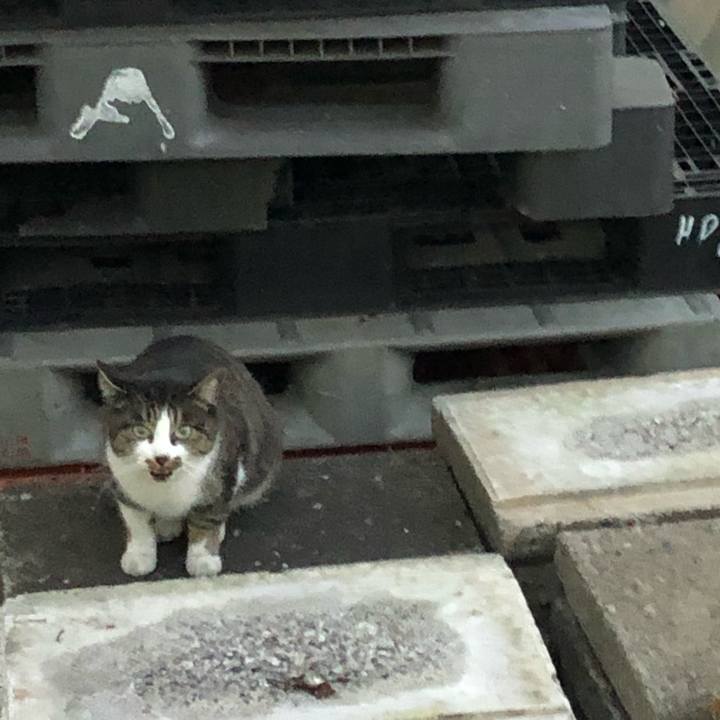 Ee92cc15 da91 4126 977c d6906e016ad1 1542790122948