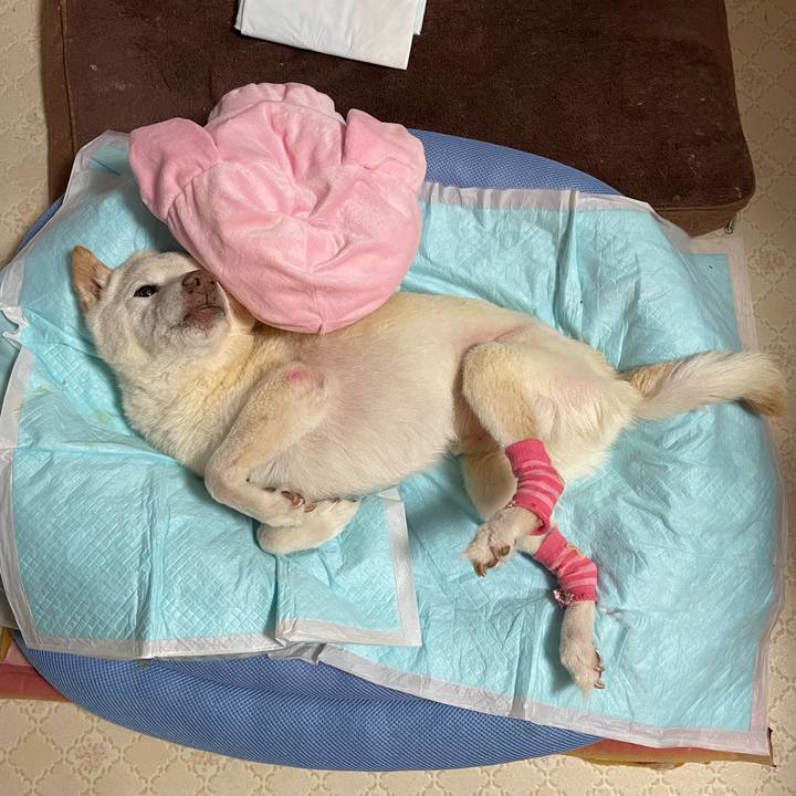 Ee92f61e 4918 4149 8668 5ae54f5dc941 1674384136229