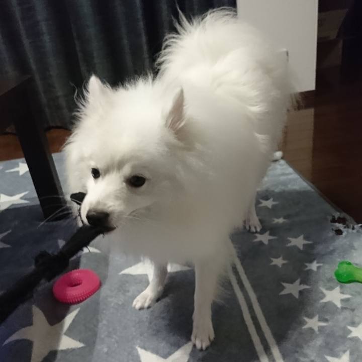 Ee93213d 2ad6 4528 92ef 2f3ceabf16ad 1575295812730