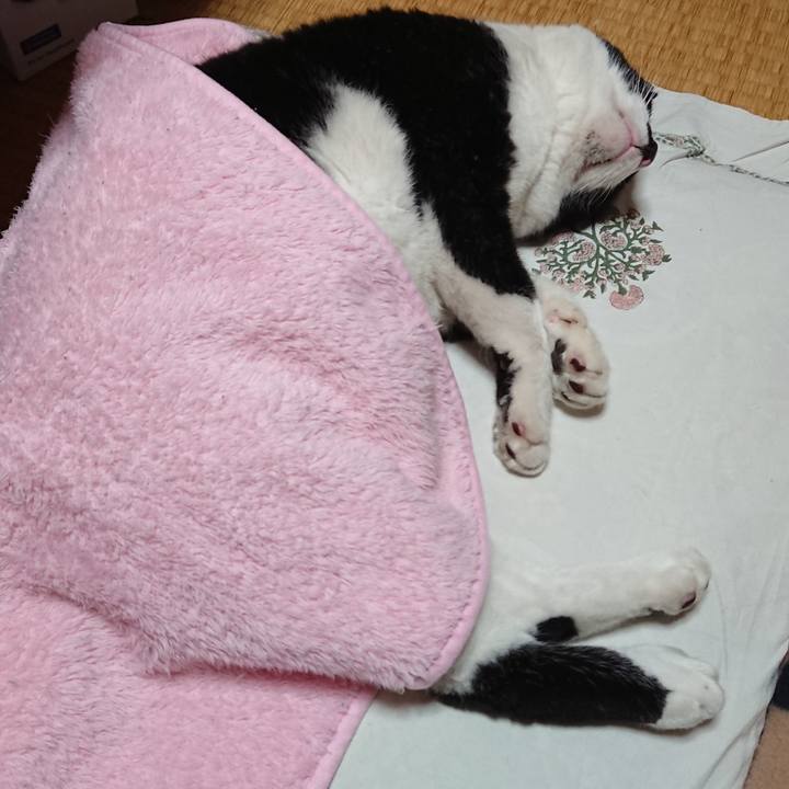 Ee9324f0 9266 4e8a 97e2 ac6189a8c6e7 1603502473781