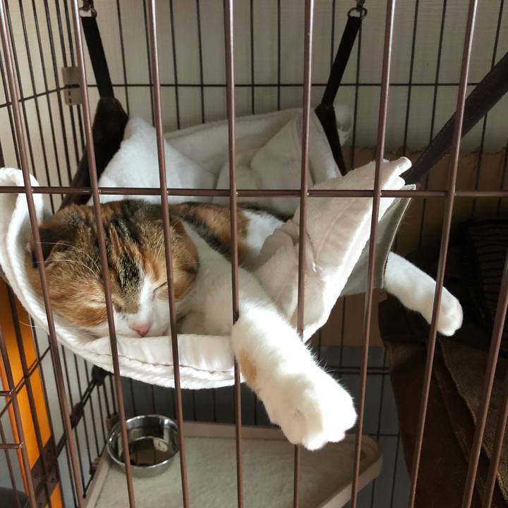 Ee938aee 2701 4bbe aaca 52cf5d4b09d2 1523678445747