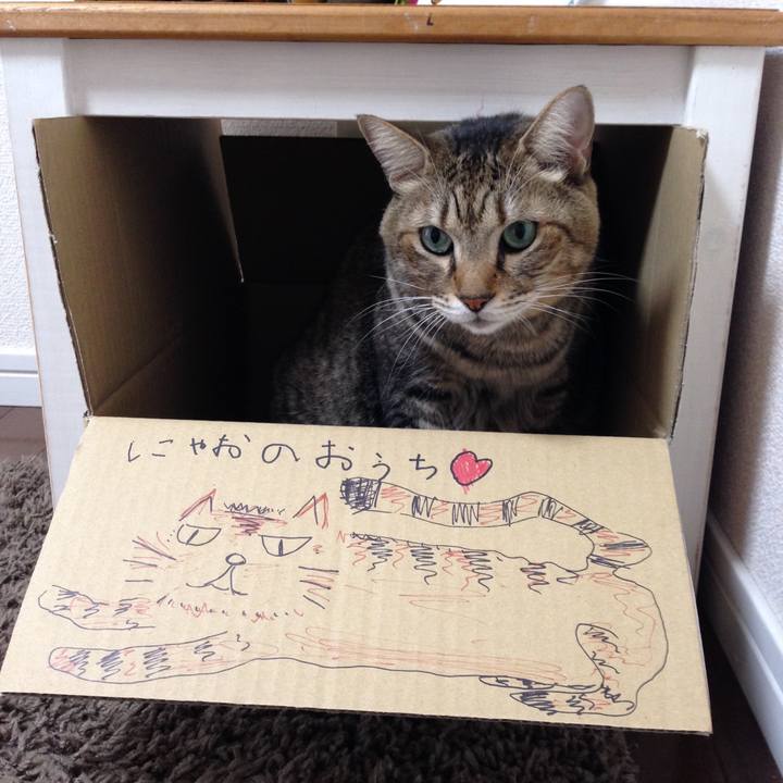 Ee939ccb 8442 475c 8001 e8c52404df81 1593649609023