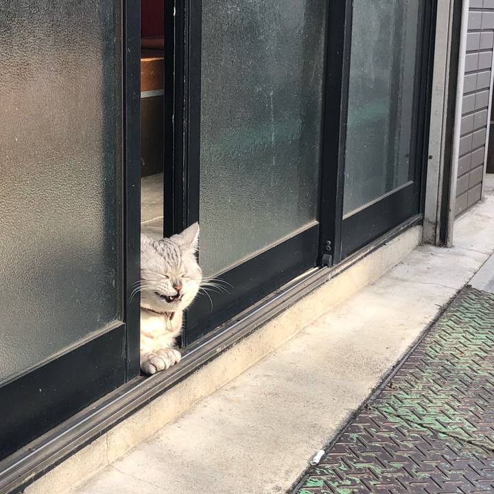 Ee93aa88 9562 4a16 b798 ccc6b81acbe5 1555680520468