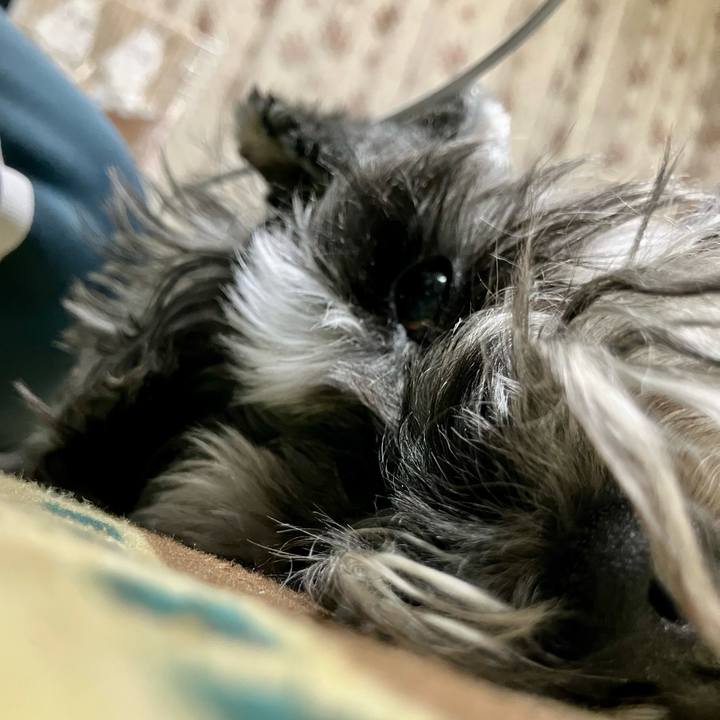 Ee93da2d 3691 41cc ab6f 39402ad3ff8b 1732891894947