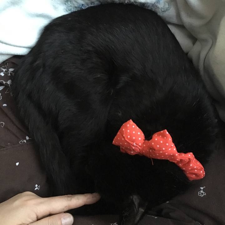 Ee93dae6 6a93 4159 95c7 c7015f67ee0e 1551215969932