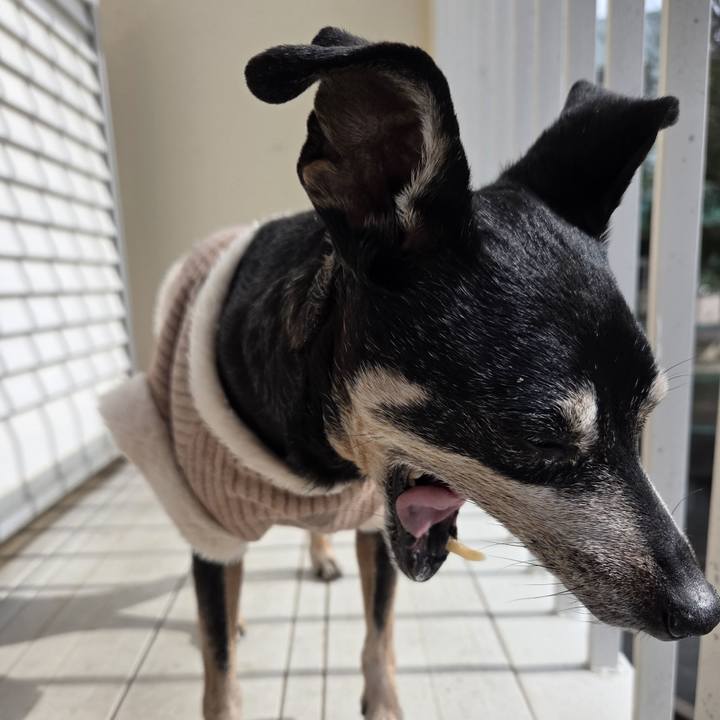 Ee93f0f1 2d4f 459e b8f8 6e91786922bc 1772170295358