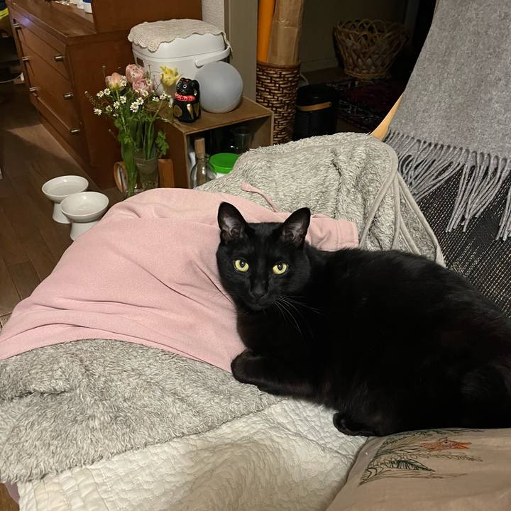 Ee93fed1 2cab 4734 b82d ec14fae6727d 1775297420401