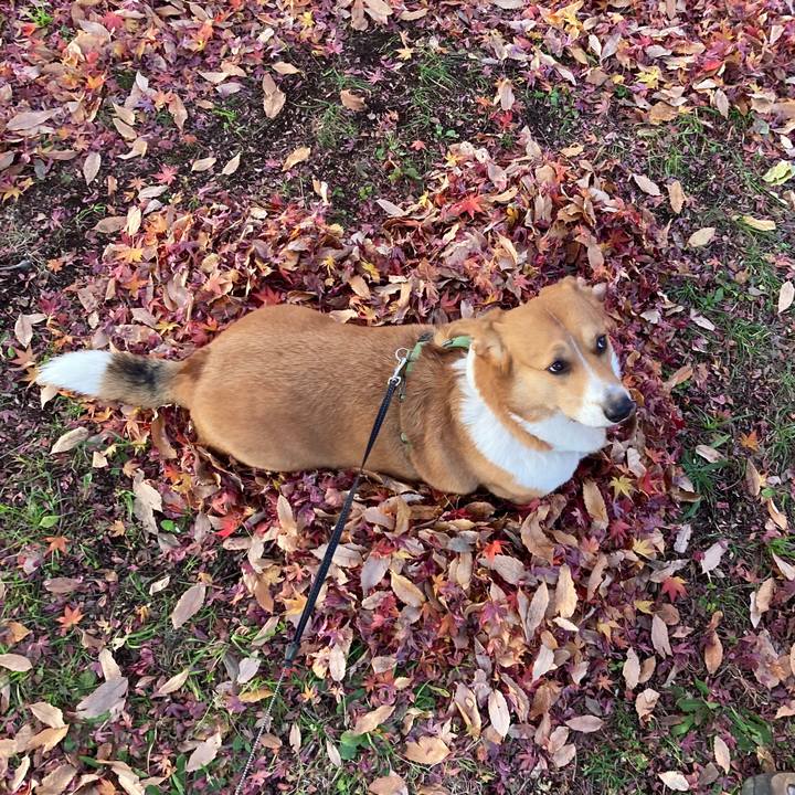 Ee93ff29 d92a 4788 b38d 2f5f6e03d604 1734249840510