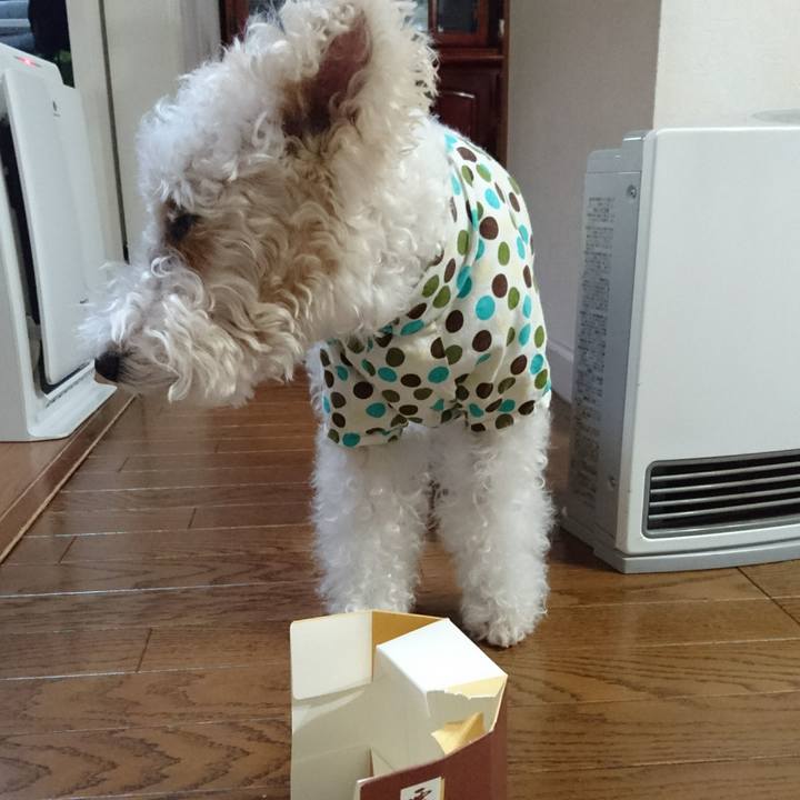 Ee942249 9bac 4305 aee2 4dbaf8816fe1 1508546189585