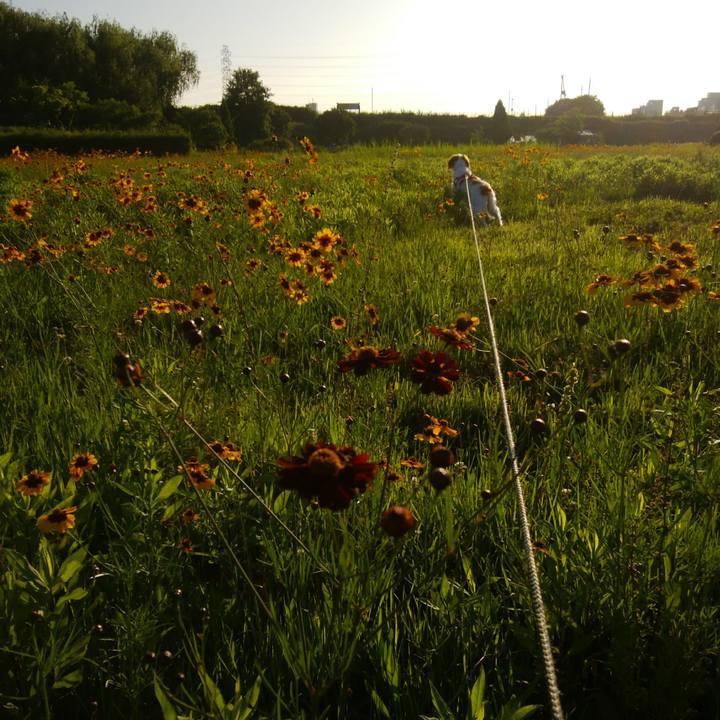 Ee942866 6b4a 4d98 a5a2 fe1851b78679 1530452730937