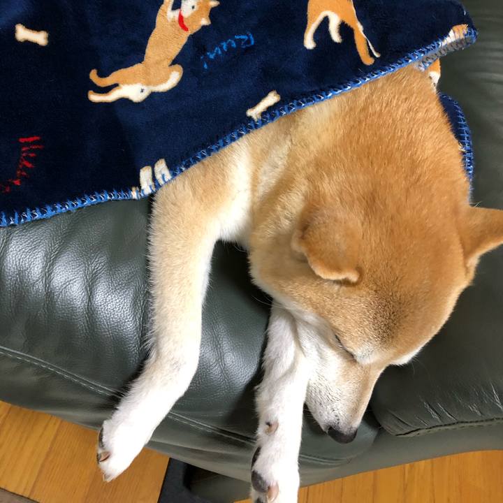 Ee942bcf 78ab 404d 8c8a 91ce343791d9 1603004680708