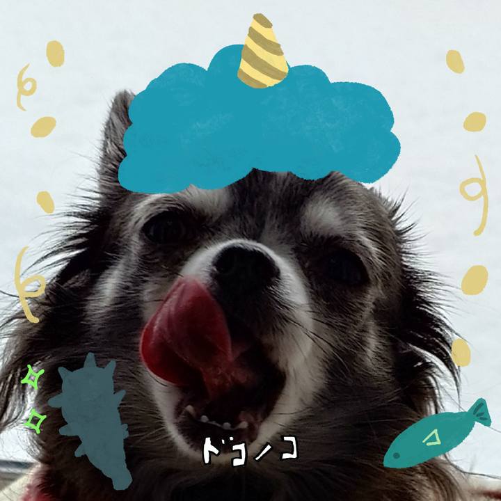 Ee945ae8 41c2 4221 b72e a26d079d9bdb 1706949296096