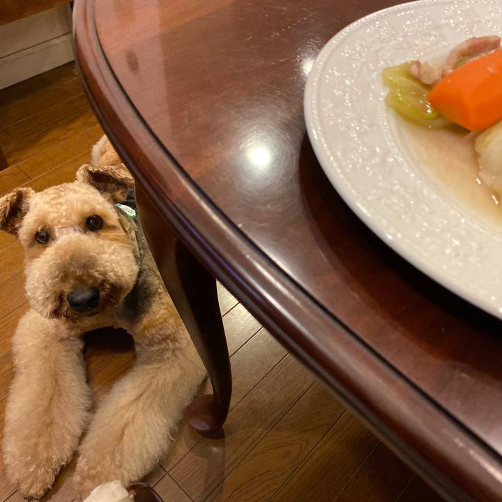 Ee9471b8 c5fe 4483 84b3 fca4d578fcf5 1590838643832