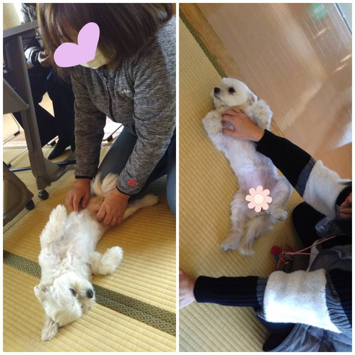 Ee9492fe f787 4139 b926 4c28bd5472c5 1550273186614