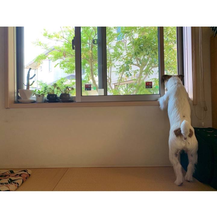 Ee949746 1246 4da2 a0e9 6374ba5314fe 1589695594151