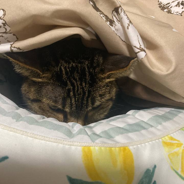 Ee94aa58 08a5 4d2c 95fa b1bf158b3d90 1725197681686