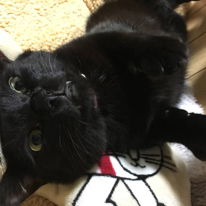 Ee94d263 c59f 433a 8438 52dd4d099cf4 1509405606392