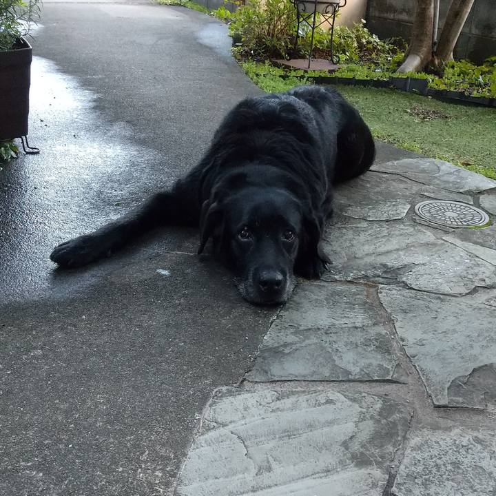 Ee94eb7f bd4b 4dca 8899 36ae04c32746 1692260470910