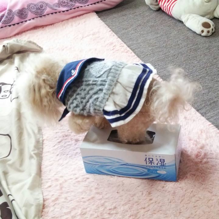 Ee951514 900f 4483 aca3 f4eb978c4fc7 1544244616649