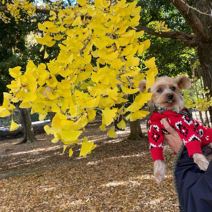 Ee952e56 aaf8 42a8 87c8 490e6ef90cae 1763272152181