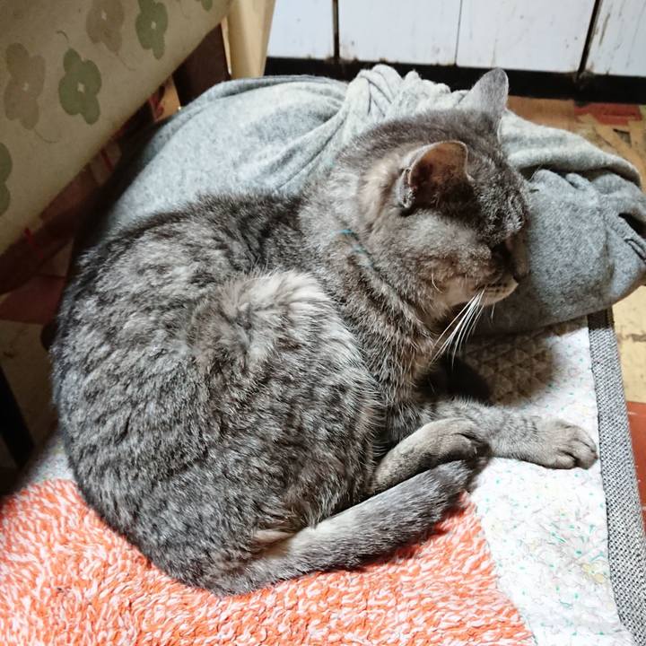 Ee9535ee 94d8 479f 9864 18c056cb0733 1574505417440