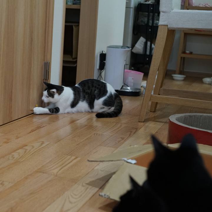 Ee954cfe 2968 425e 856d 7d3bb16a3db2 1527723864181