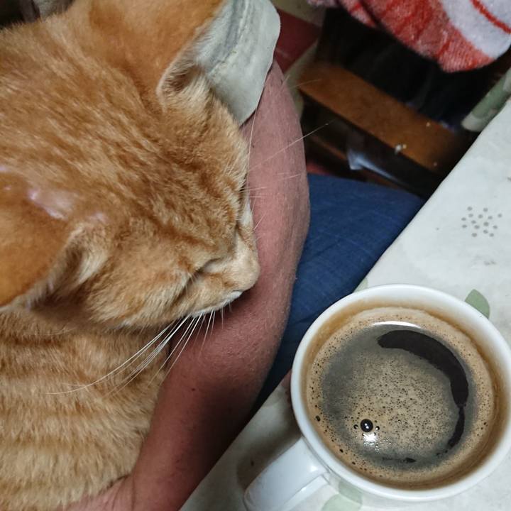 Ee9574b7 c042 41d4 a544 6fca41ceb9c8 1593805871052