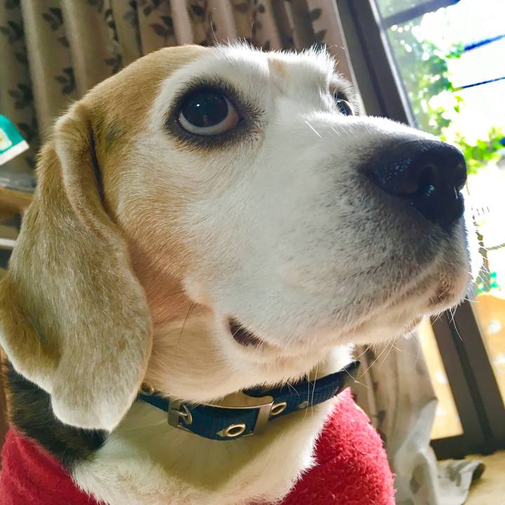 Ee958855 7152 4066 94dd 231ec4798b15 1773669798579