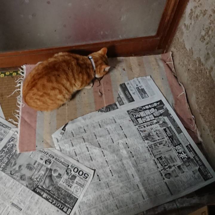 Ee958b55 8dc0 4e48 a67c 668429b9890f 1586983471726