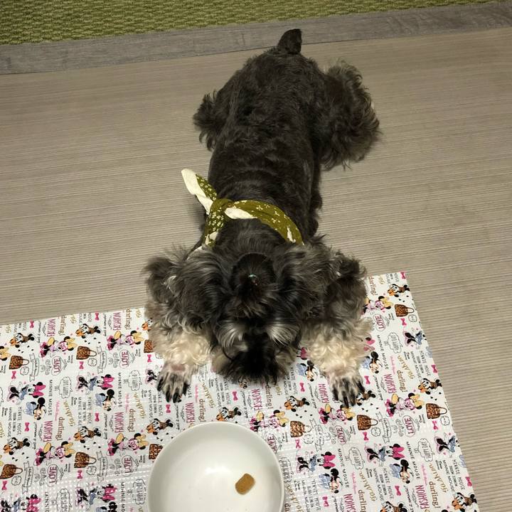 Ee95b013 4371 4326 8684 5cecc0da5f6a 1565176878341