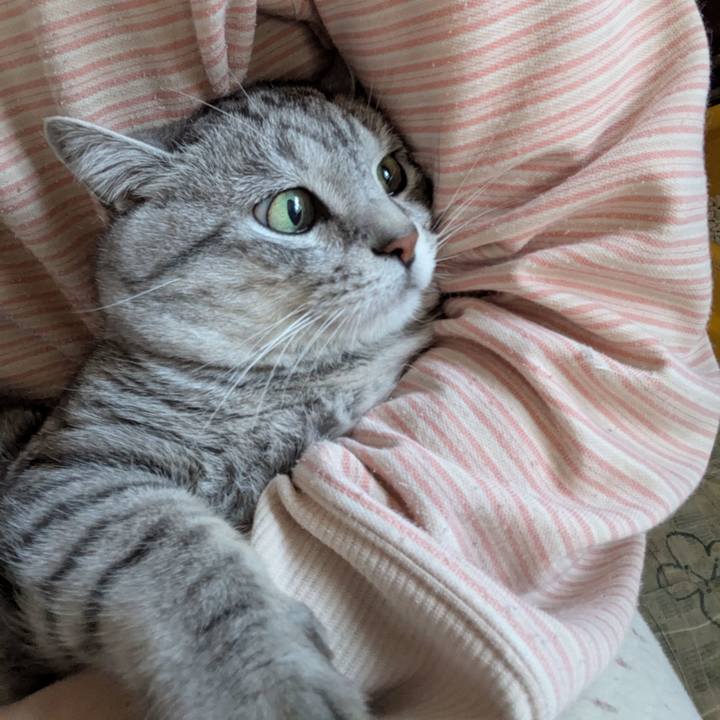 Ee95bcf8 02da 4ddd 8885 9f9cfc36e71b 1742716041982