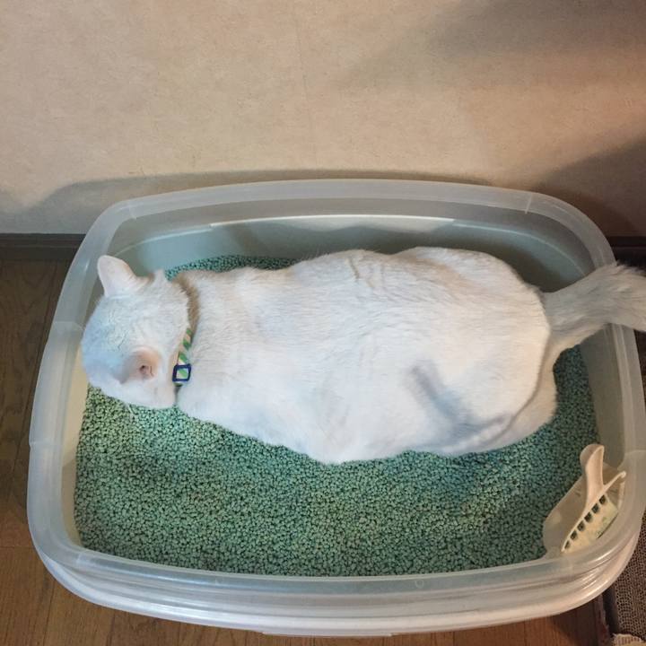 Ee95bf94 5874 45f0 83fa 9583febe122e 1519856139000