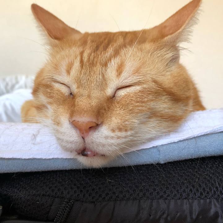 Ee95c2d5 e8f4 4dc4 97d2 5a1ea897781e 1599275258174