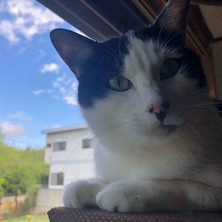 Ee95ee0f 99fe 42fb 8455 21495cace6d6 1564336658767